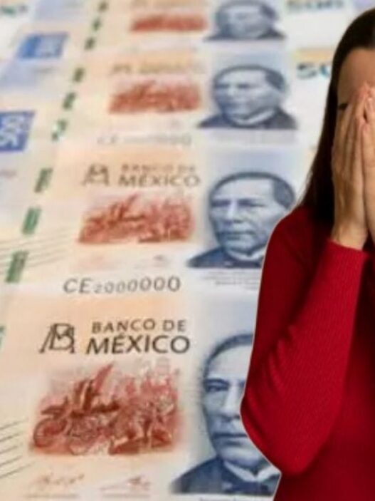 Detectan fraude millonario en Bahía de Banderas, Nayarit
