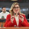 Baja California Sur tipifica robo de autos arrendados como delito
