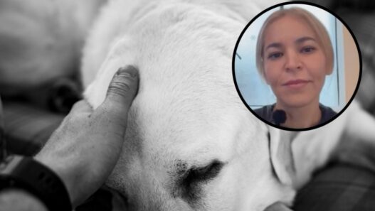 Proponen 3 días de descanso pagado por fallecimiento de mascota