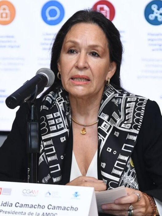 Protección de datos, reto central ante avance tecnológico en México