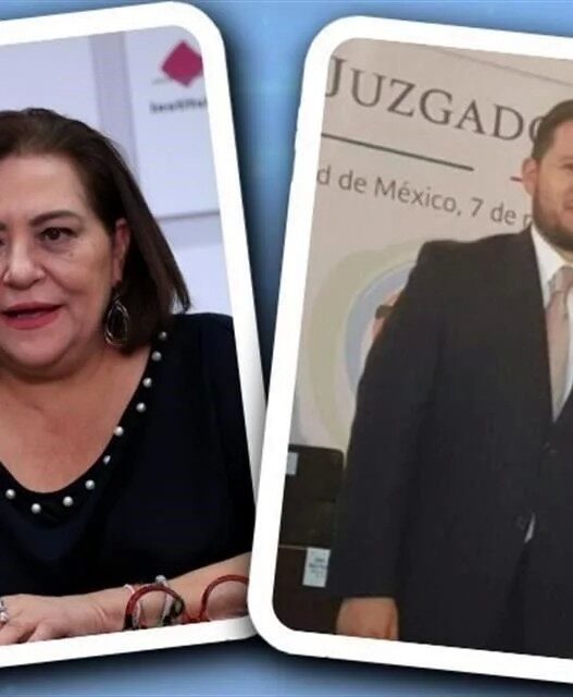 INE refuerza estructura con nombramiento clave de Taddei