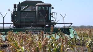 Tamaulipas se coloca como segundo estado con mayor crecimiento económico del país